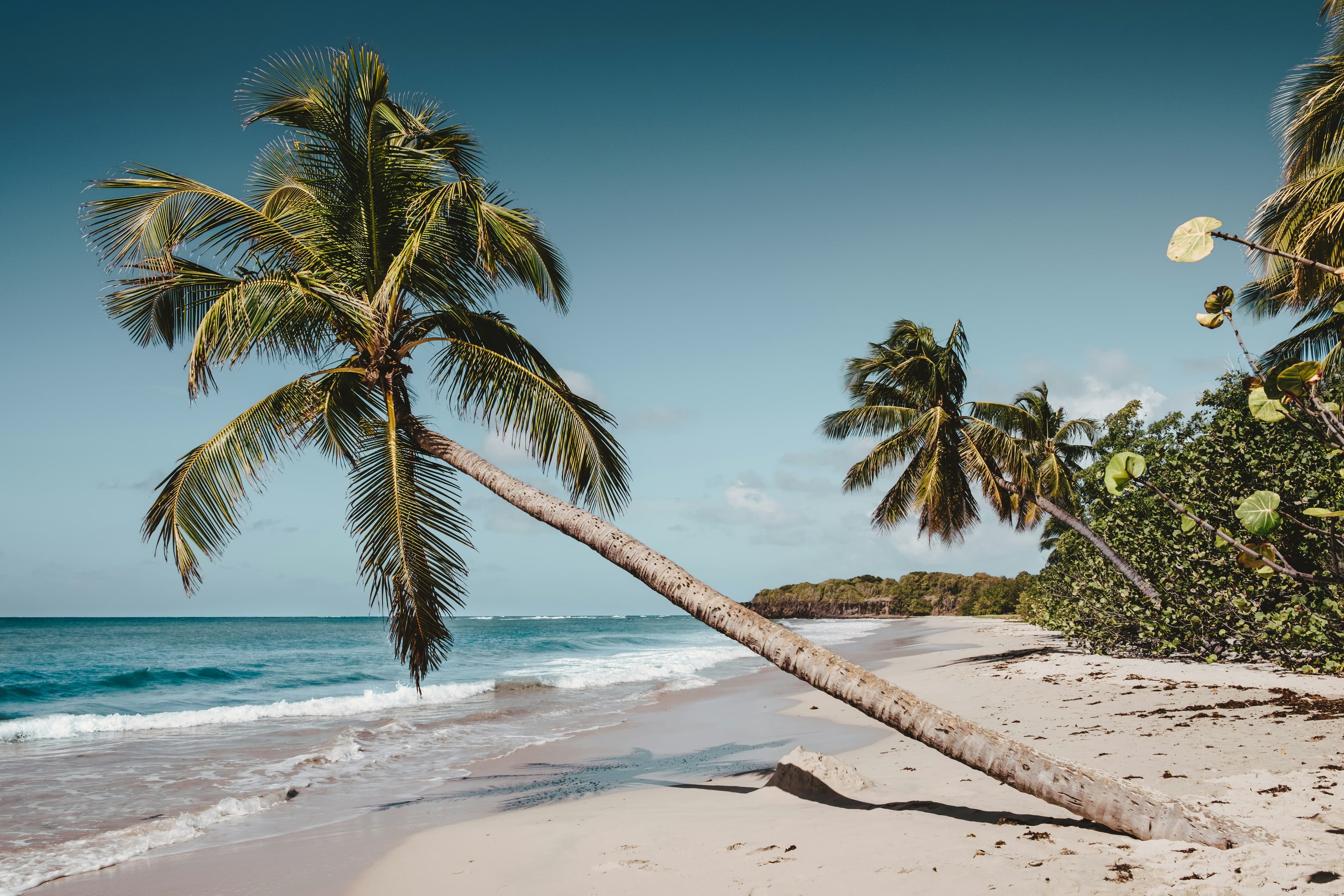Community tourism and collaborative travel experiences in Sri Lanka - local partnerships and authentic connections